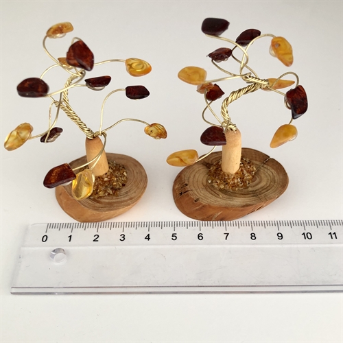 Rav Stentræ på træfod H. 6-7 cm